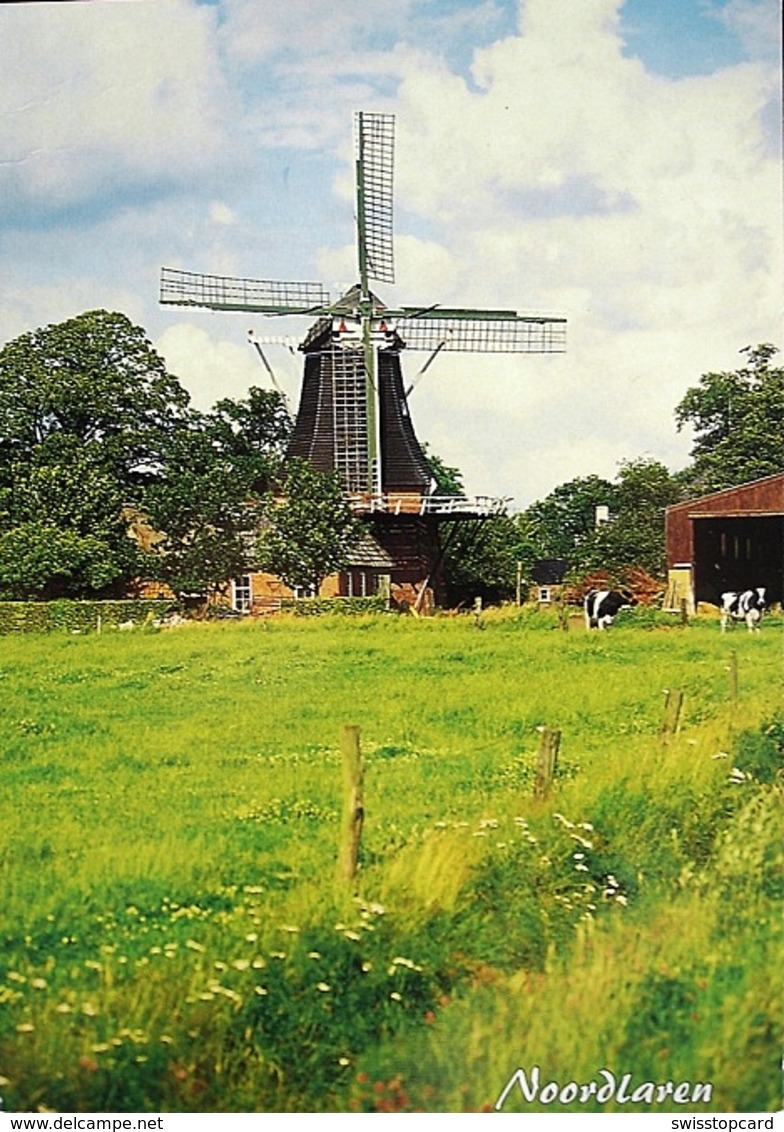 HAREN Noordlaren Windmill Windmühle - Haren