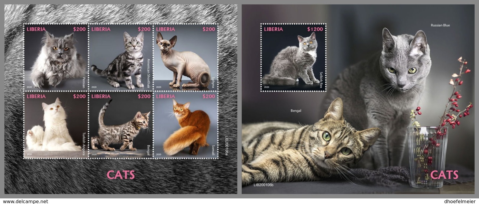 LIBERIA 2020 MNH Cats Katzen Chats M/S+S/S - OFFICIAL ISSUES - DH2012 - Chats Domestiques