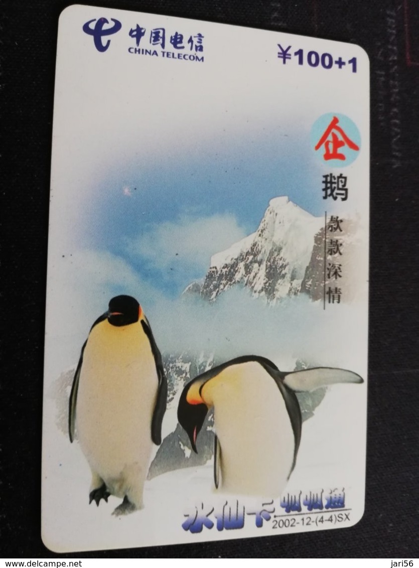 CHINA    PINGUIN      CARD Used **1163** - China