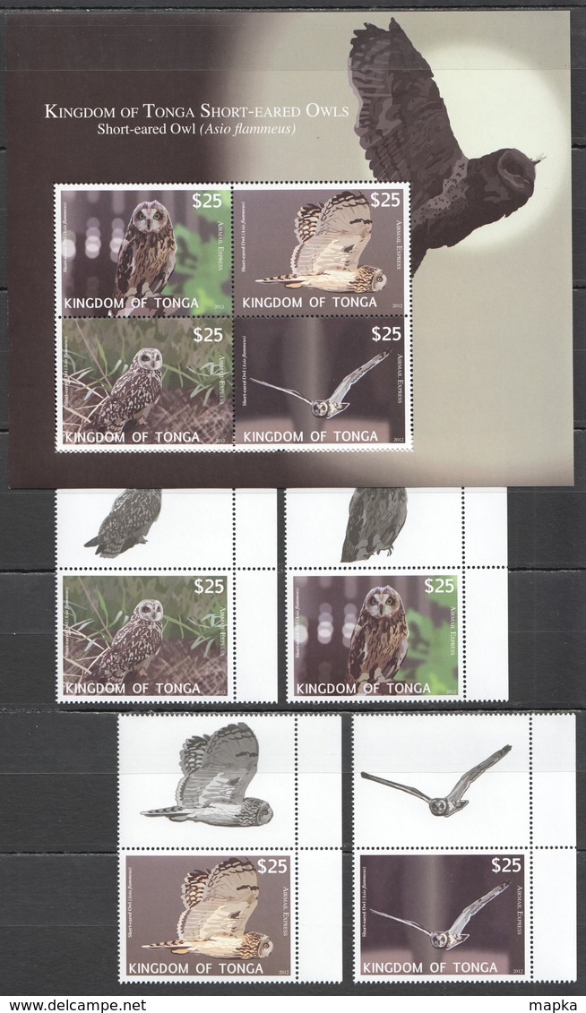 C522 2012 KINGDOM OF TONGA FAUNA BIRDS OWLS 1SET+1KB MICHEL 220 EURO MNH - Owls