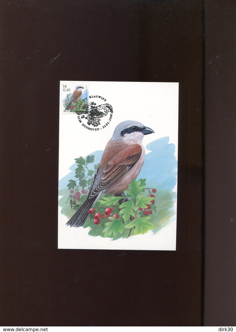 Belgie Buzin Vogels Birds 2885 Maximumkaart Veeweyde Zonhoven - 1991-2000