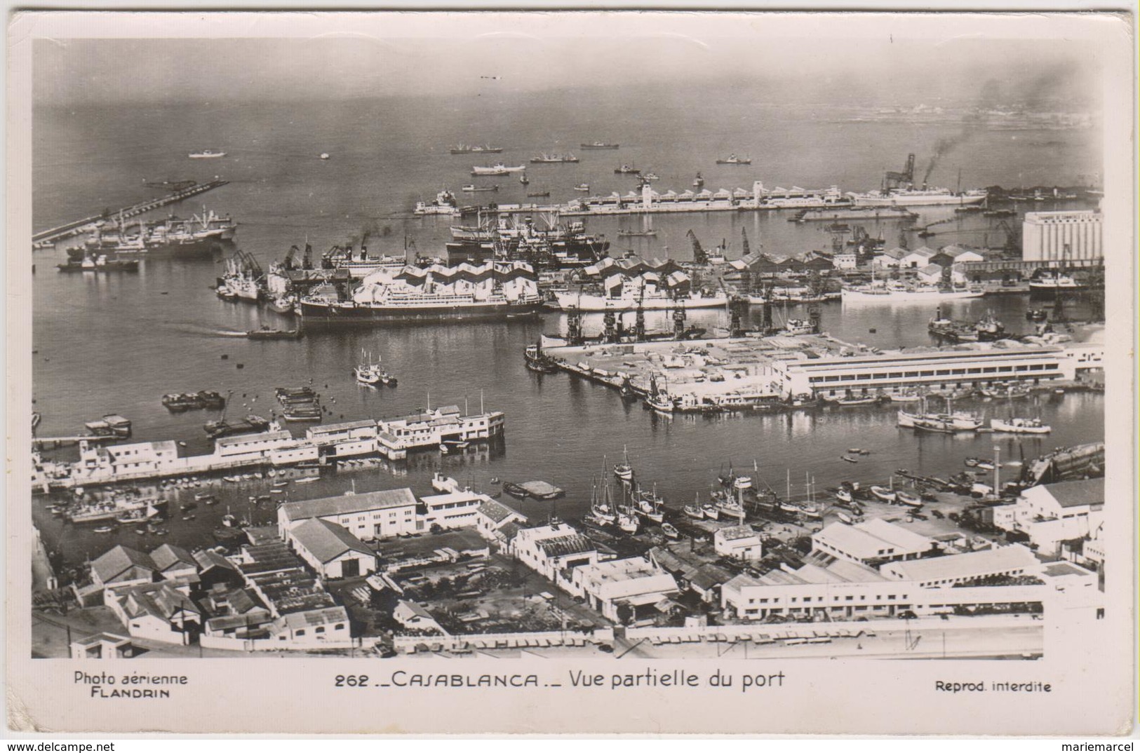 MAROC - CASABLANCA - VUE PARTIELLE DU PORT - Nombreux Bateaux - CPSM Glacée Petit Format En Noir Et Blanc - Casablanca