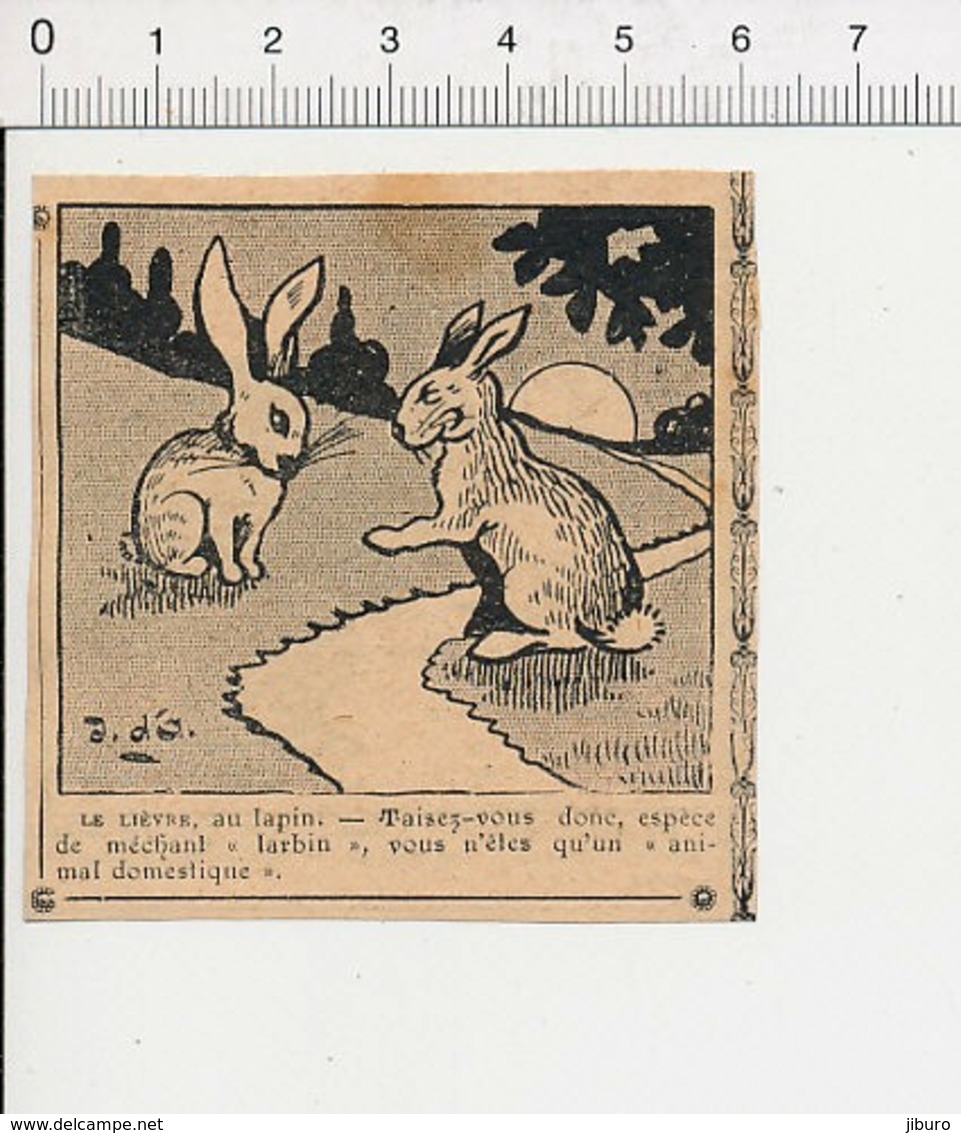 Humour De 1907 Animal Lièvre Lapin Domestique 51B8 - Non Classés
