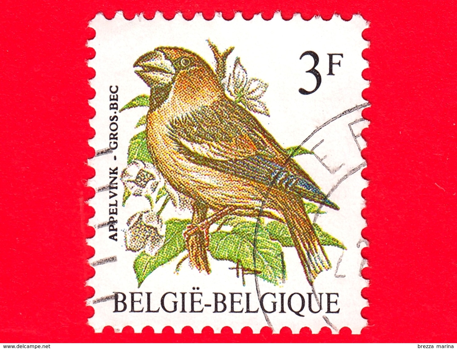 BELGIO - Usato - 1986 - Uccelli Di Buzin - Frosone Comune - Coccothraustes Coccothraustes - 3 - 1985-.. Uccelli (Buzin)