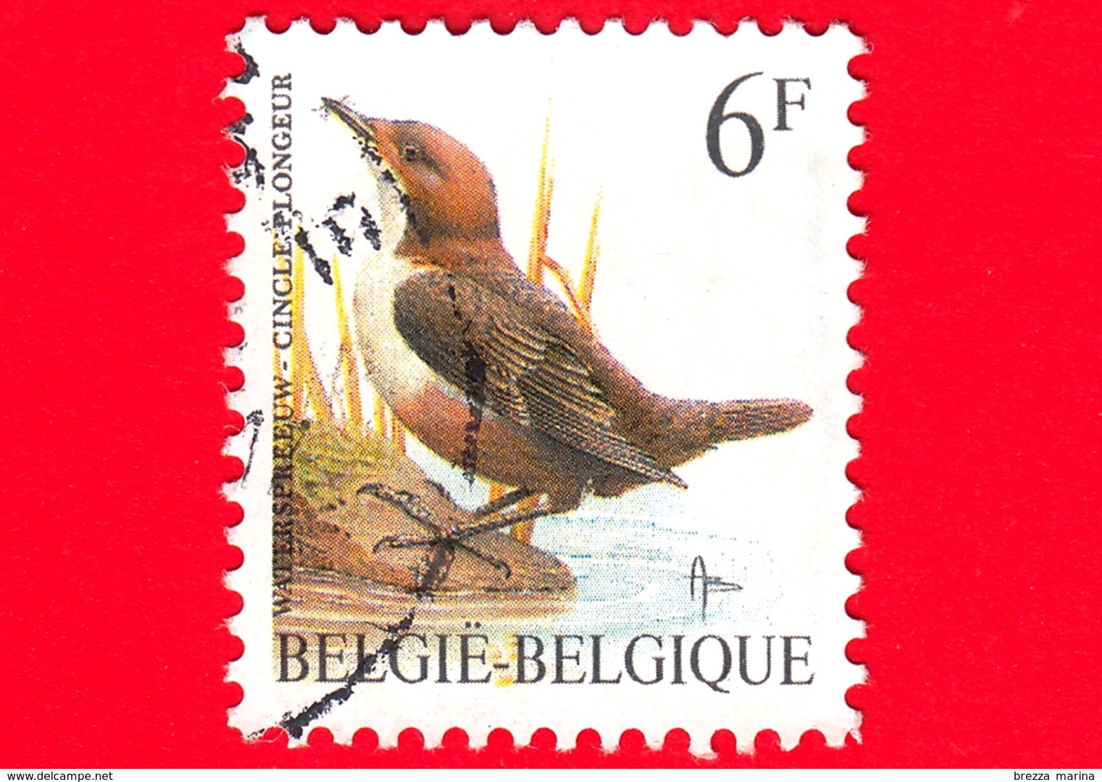 BELGIO - Usato - 1992 - Uccelli Di Buzin - Merlo Acquaiolo - Cinclus Cinclus - 6 - 1985-.. Uccelli (Buzin)