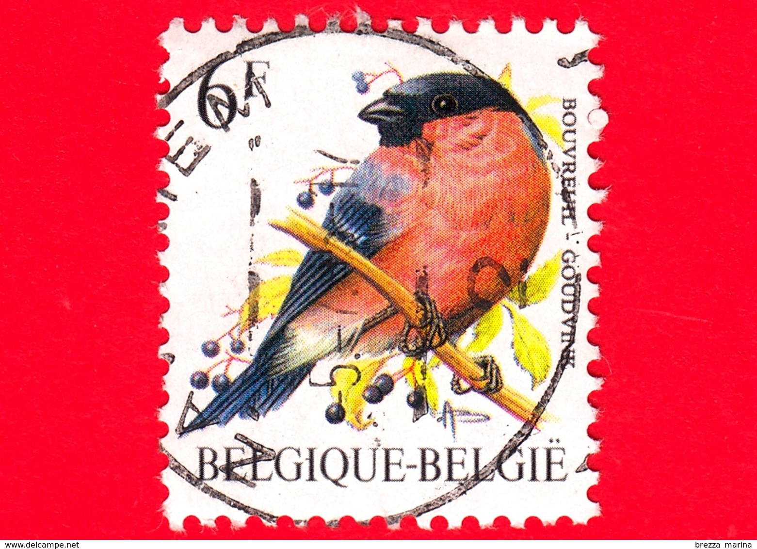 BELGIO - Usato - 1988 - Uccelli Di Buzin - Ciuffolotto Comune - Pyrrhula Pyrrhula - 6 - 1985-.. Birds (Buzin)