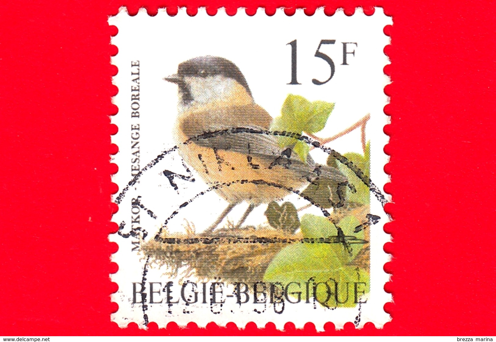 BELGIO - Usato - 1997 - Uccelli Di Buzin - Cincia Bigia Alpestre - Parus Montanus - 15 - 1985-.. Uccelli (Buzin)