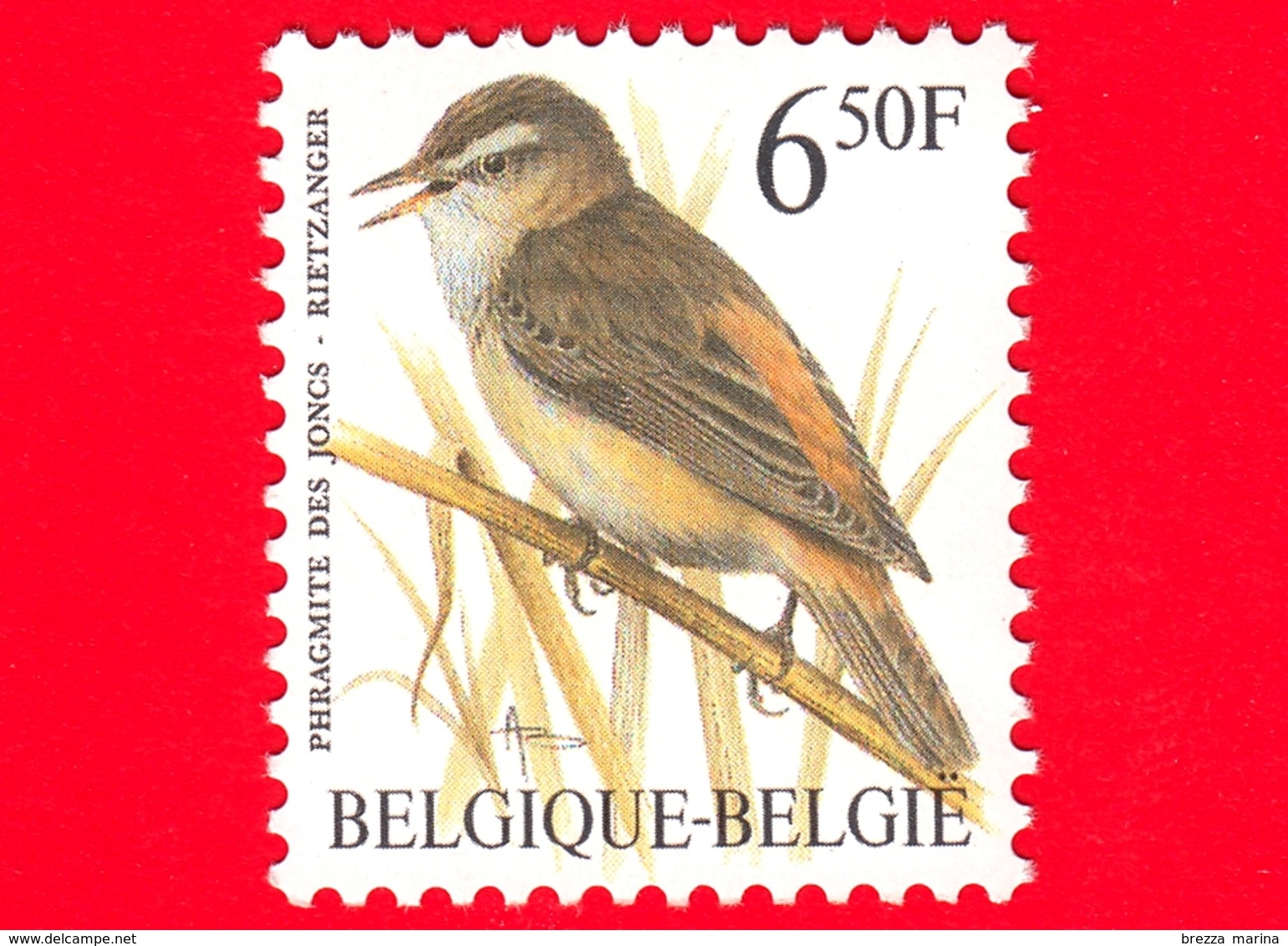 Nuovo - MNH - BELGIO - 1994 - Uccelli Di Buzin - Forapaglie - Acrocephalus Schoenobaenus - 6.50 - 1985-.. Uccelli (Buzin)