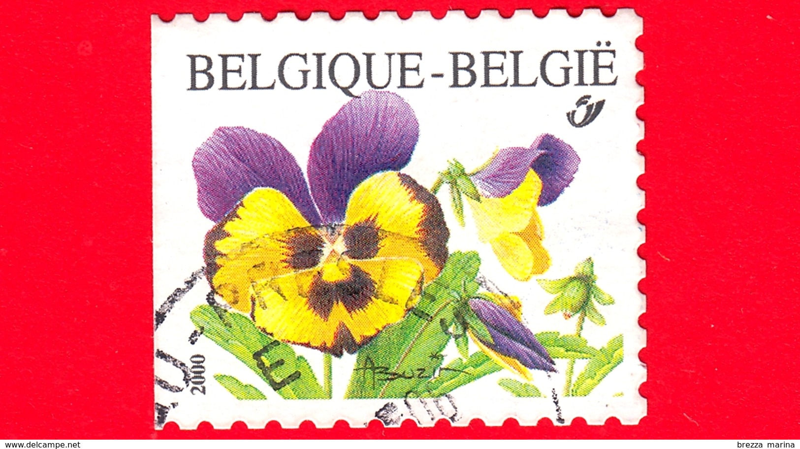 BELGIO - Usato - 2000 - Fiori - Flowers - Fleurs - Violette - No Valore Facciale - Non Dentellato A Sinistra - Usati