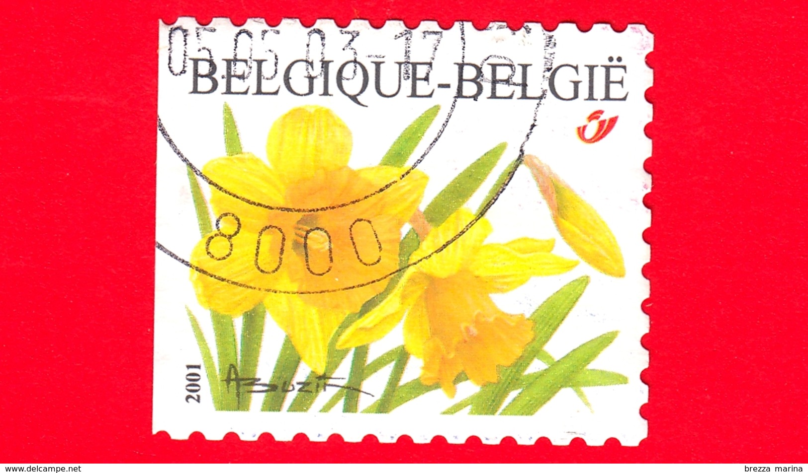 BELGIO - Usato - 2001 - Fiori - Flowers - Fleurs - Narciso - No Valore Facciale - Non Dentellato A Sinistra - Usati