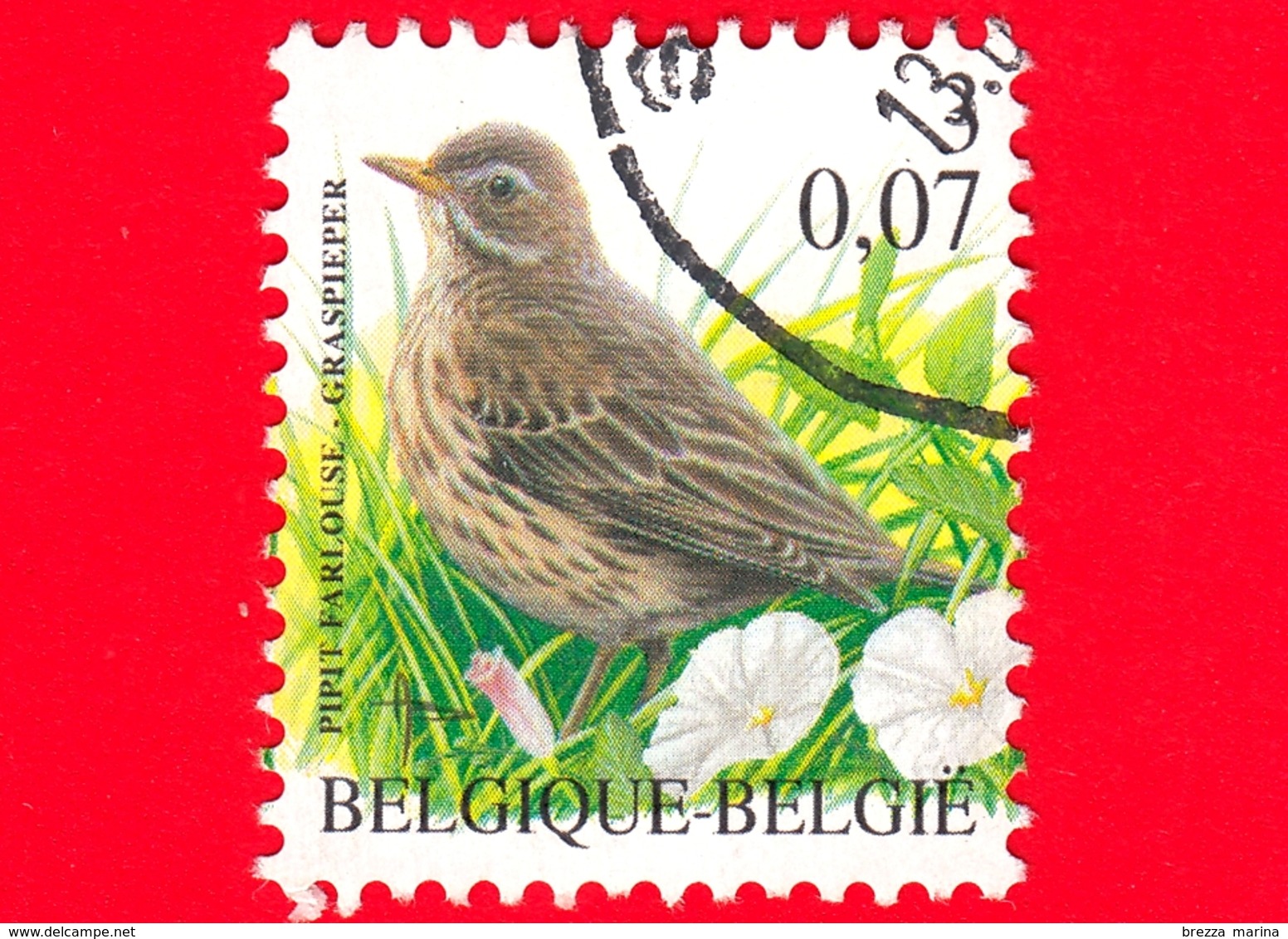 BELGIO - Usato - 2000 - Uccelli Di Buzin - Pispola - Anthus Pratensis - 3 - 0.07 - 1985-.. Uccelli (Buzin)