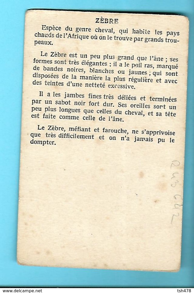 CHROMO---ZEBRE--voir 2 Scans - Autres & Non Classés