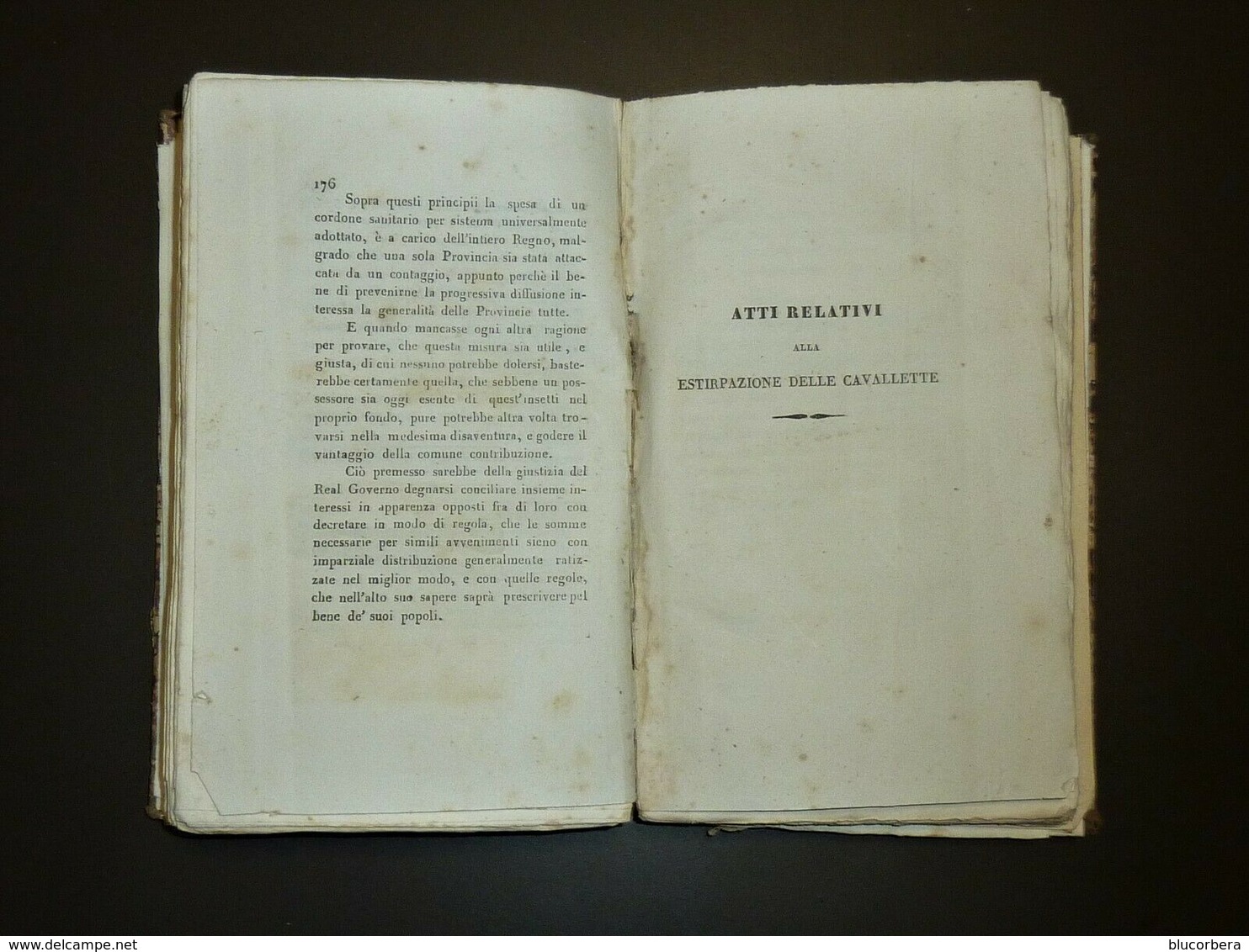 ZANGHI PAOLO. DELLE CAVALLETTE E DEL MODO DI DISTRUGGERLE PA/1835  MOLTO RARO CON INCISIONI NEL TESTO ACQUERELLATE - Libri Antichi