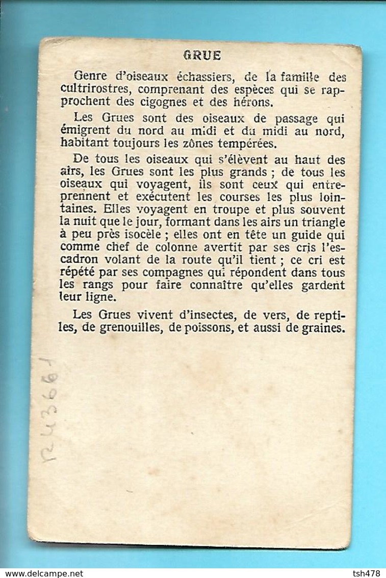 CHROMO-----GRUE CENDREE---voir 2 Scans - Autres & Non Classés