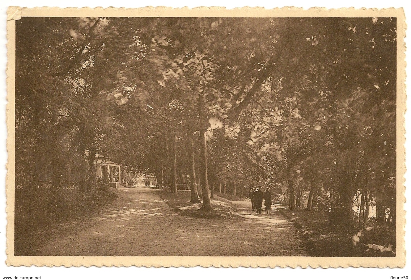 VIRELLES (Lac De Virelles)  Sous-Bois. - Chimay