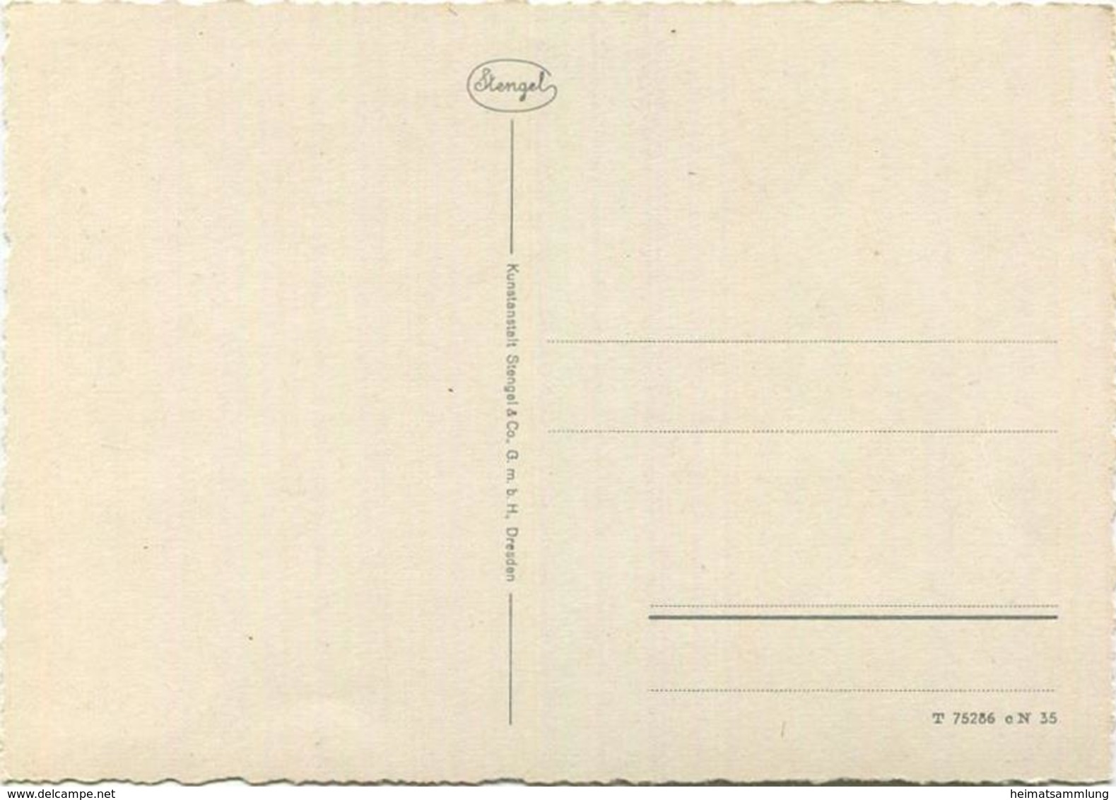 Schwäne - AK Grossformat - Verlag Stengel & Co. GmbH Dresden - Vögel