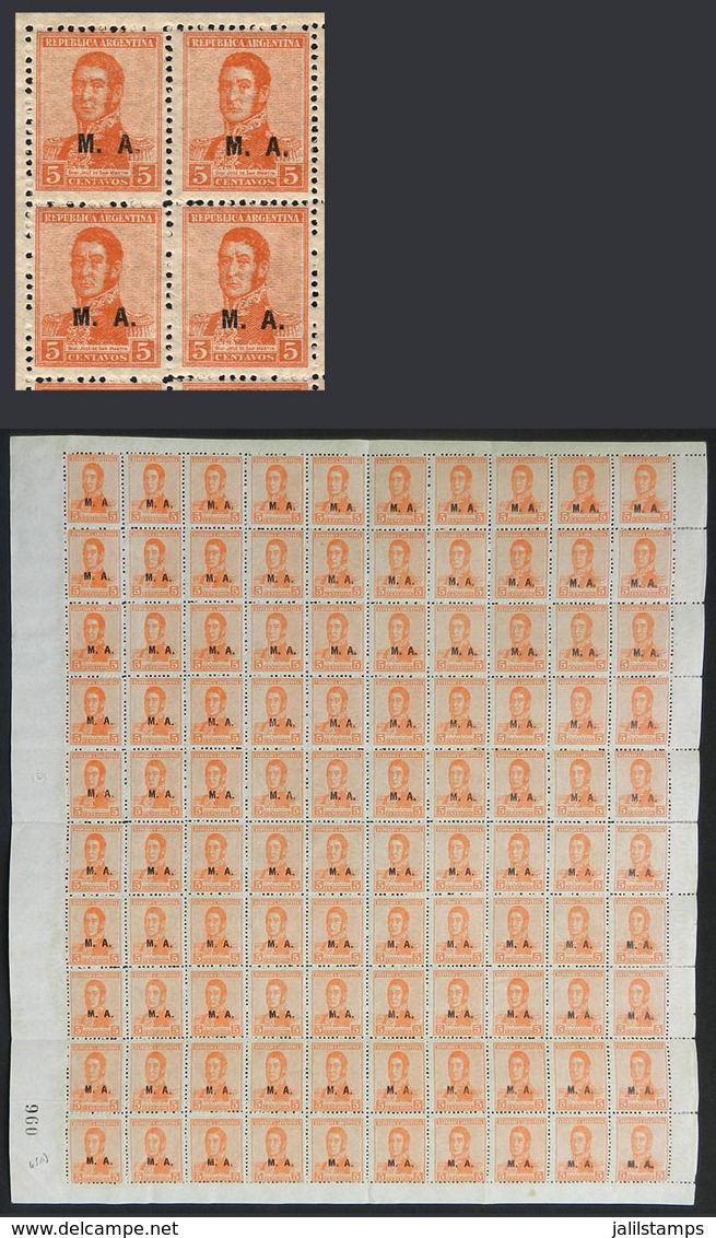 ARGENTINA: GJ.77, 1920 5c. San Martín With Multiple Suns Wmk, Perf 13½, Complete Sheet Of 100 Stamps, Very Rare! MNH (wi - Servizio