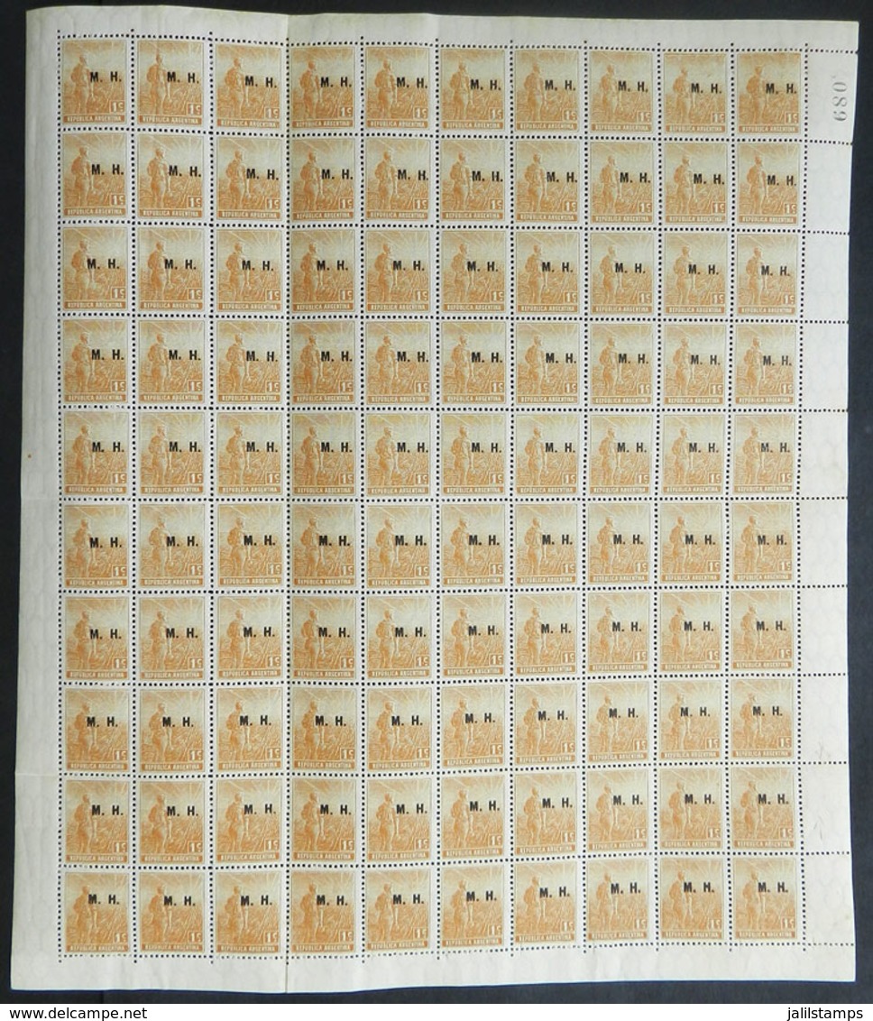 ARGENTINA: GJ.223, Complete Sheet Of 100 Stamps, With Two Very Interesting Characteristics: The Stamps In Positions 81/9 - Officials