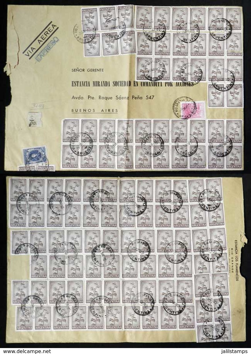 ARGENTINA: 4 Large Registered Or Express Covers Sent From Rio Grande (Tierra Del Fuego) To Buenos Aires Between 1951 And - Other & Unclassified