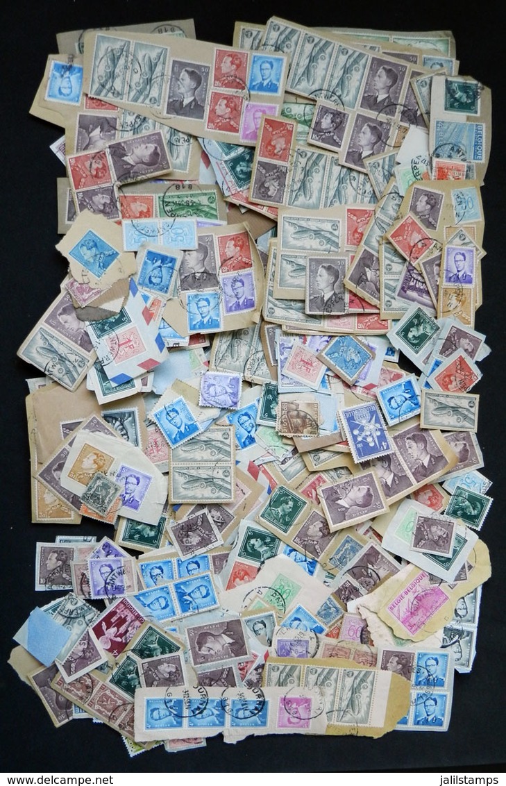 BELGIUM: Box With Hundreds Of Fragments Of Covers With Thousands Of Used Stamps, Generally Of The 1950s, Including Many  - Sonstige & Ohne Zuordnung