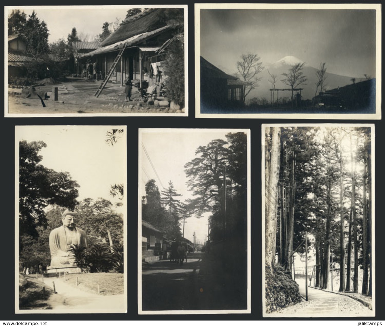 JAPAN: 5 Very Old Photos: Rural Scenes, Landscapes Etc., Size 14,5 X 8,5 Cm Aprox., Excellent Quality! - Unclassified