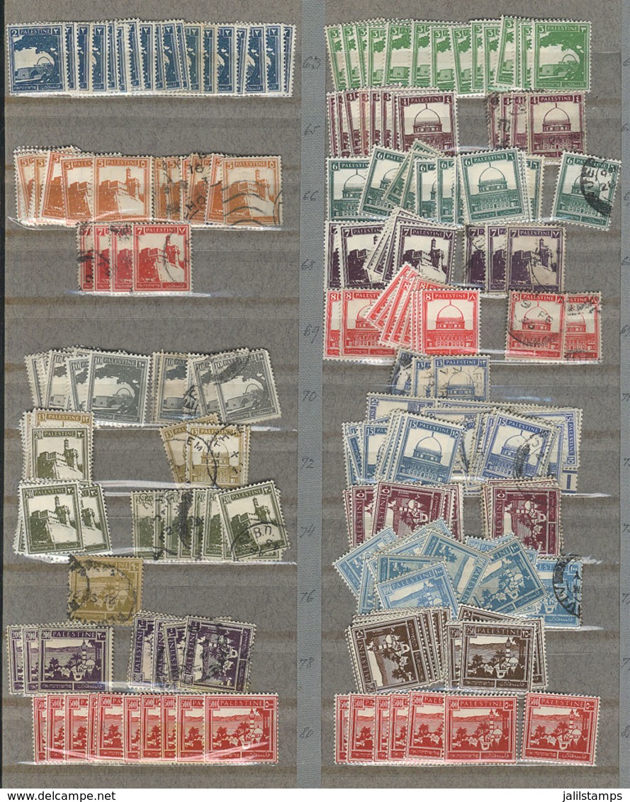 PALESTINE: Old Stock On Stockpages, With A Good Number Of Used Or Mint Stamps (most Lightly Hinged Or MNH), Almost All O - Palestine