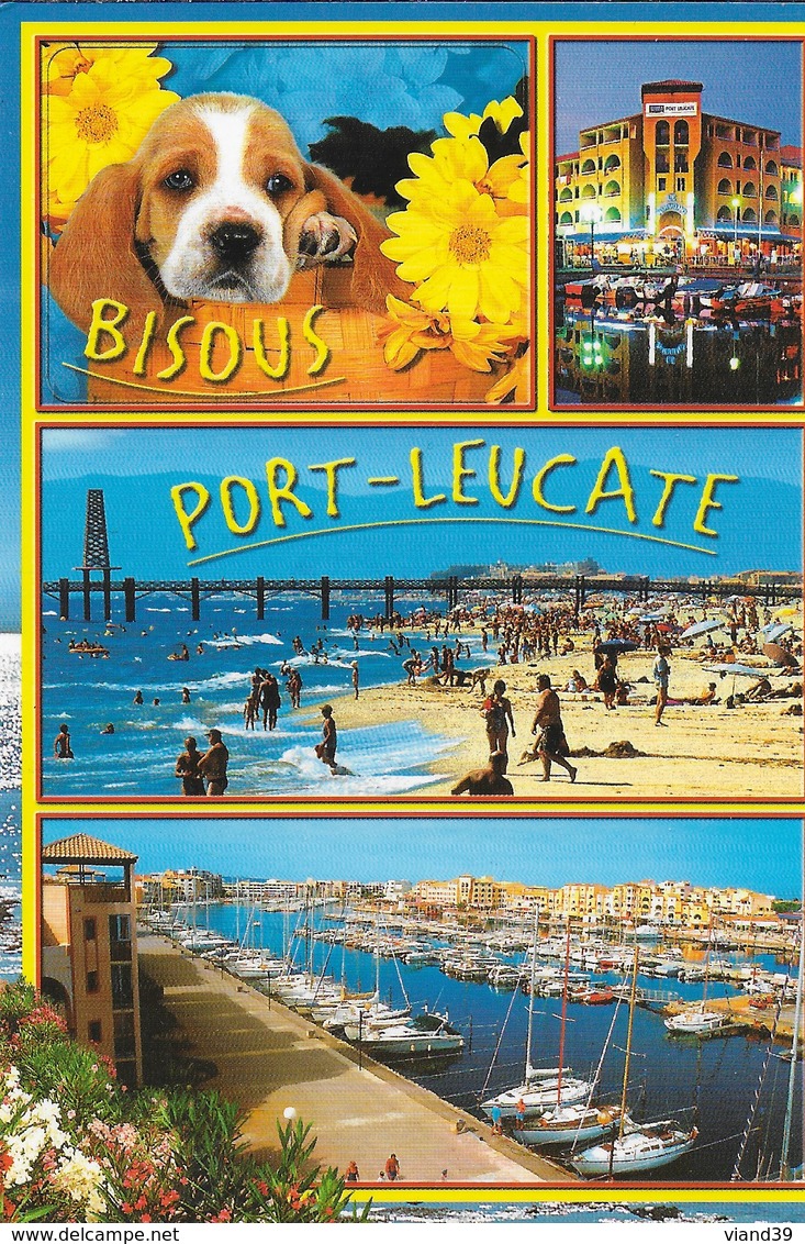 Port Leucate - Carte Fantaisie - Leucate