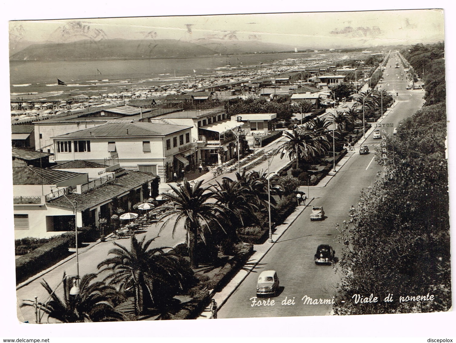 V5241 Forte Dei Marmi (Lucca) - Viale Di Ponente - Auto Cars Voitures / Viaggiata 1960 - Altri & Non Classificati