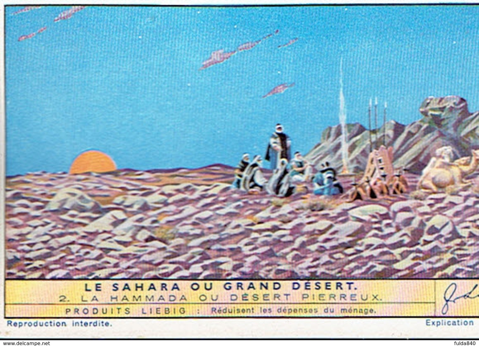 *CHROMO LIEBIG* 6 *  Le Sahara Ou Grand Desert. -  La Hammada Ou Désert Pierreux  Ovale. - Autres & Non Classés