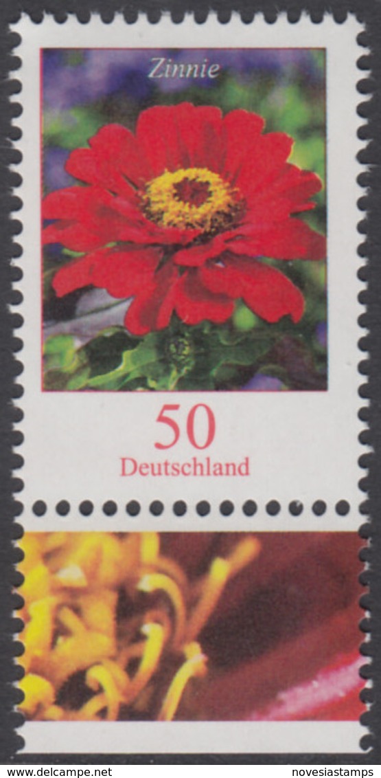 !a! GERMANY 2020 Mi. 3535 MNH SINGLE W/ Bottom Margin (c) - Flowers: Zinnia - Neufs