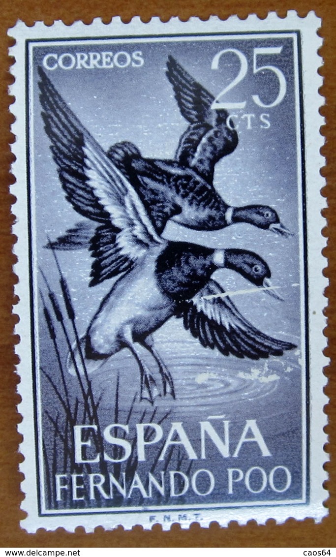 1964 FERNANDO POO Colonia SPAGNA Uccelli Anatre Birds Mallard (Anas Platyrhynchos) - 25 Cts  Nuovo - Fernando Po