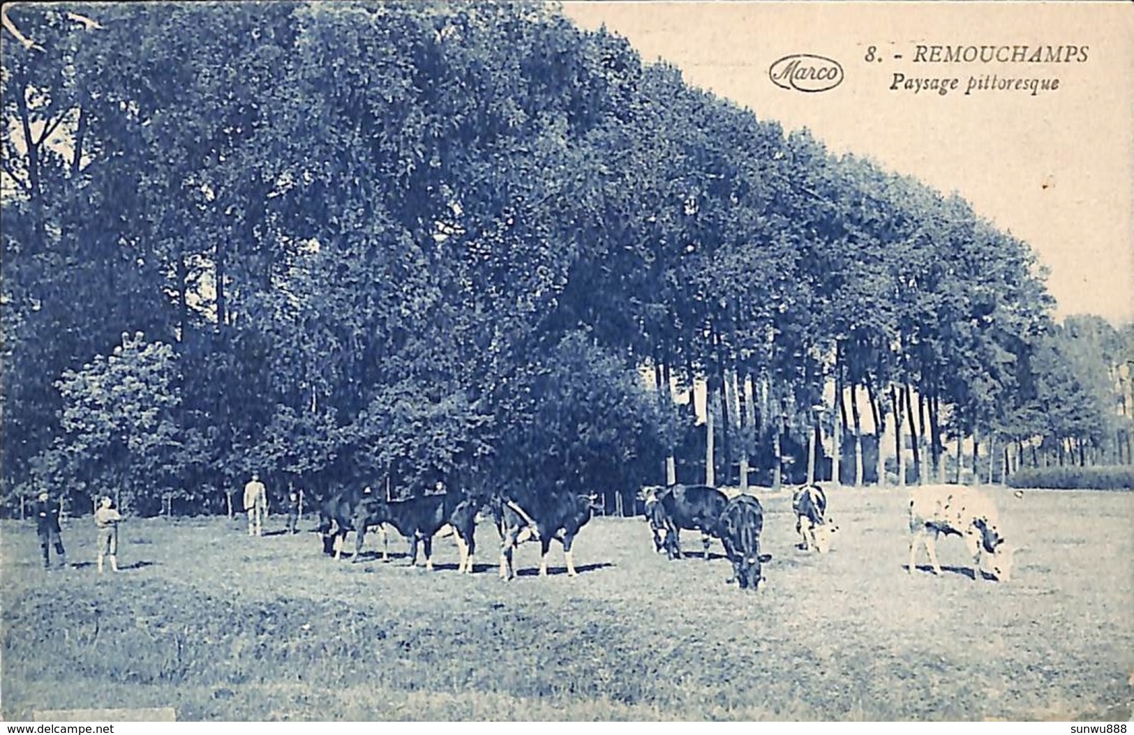 Remouchamps - Paysage Pittoresque (animée Marcovici Vaches) Prix Fixe - Aywaille