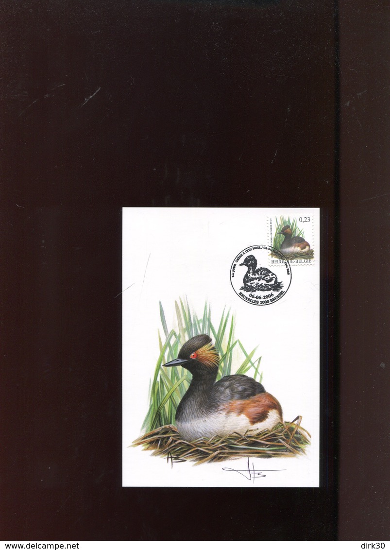 Belgie Buzin Vogels Birds 3546 Maximumkaart Bruxelles + Signature - 2001-2010