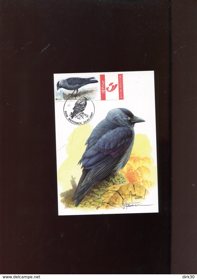 Belgie Buzin Vogels Birds 3625 Maximumkaart Wetteren + Signature Gepersonaliseerde Zegel - 2001-2010