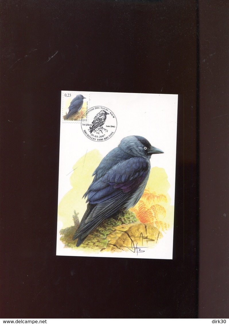 Belgie Buzin Vogels Birds 3625 Maximumkaart Bruxelles + Signature - 2001-2010