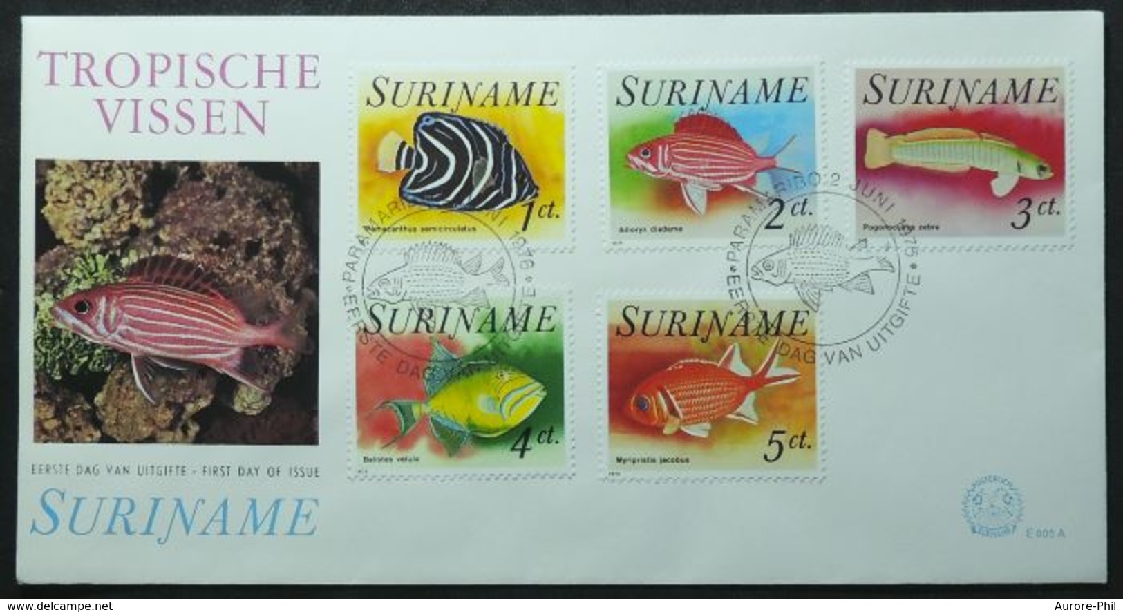 FDC Poissons Tropicaux Suriname 1976 (Paramaribo - Tropical Fish) - Poissons