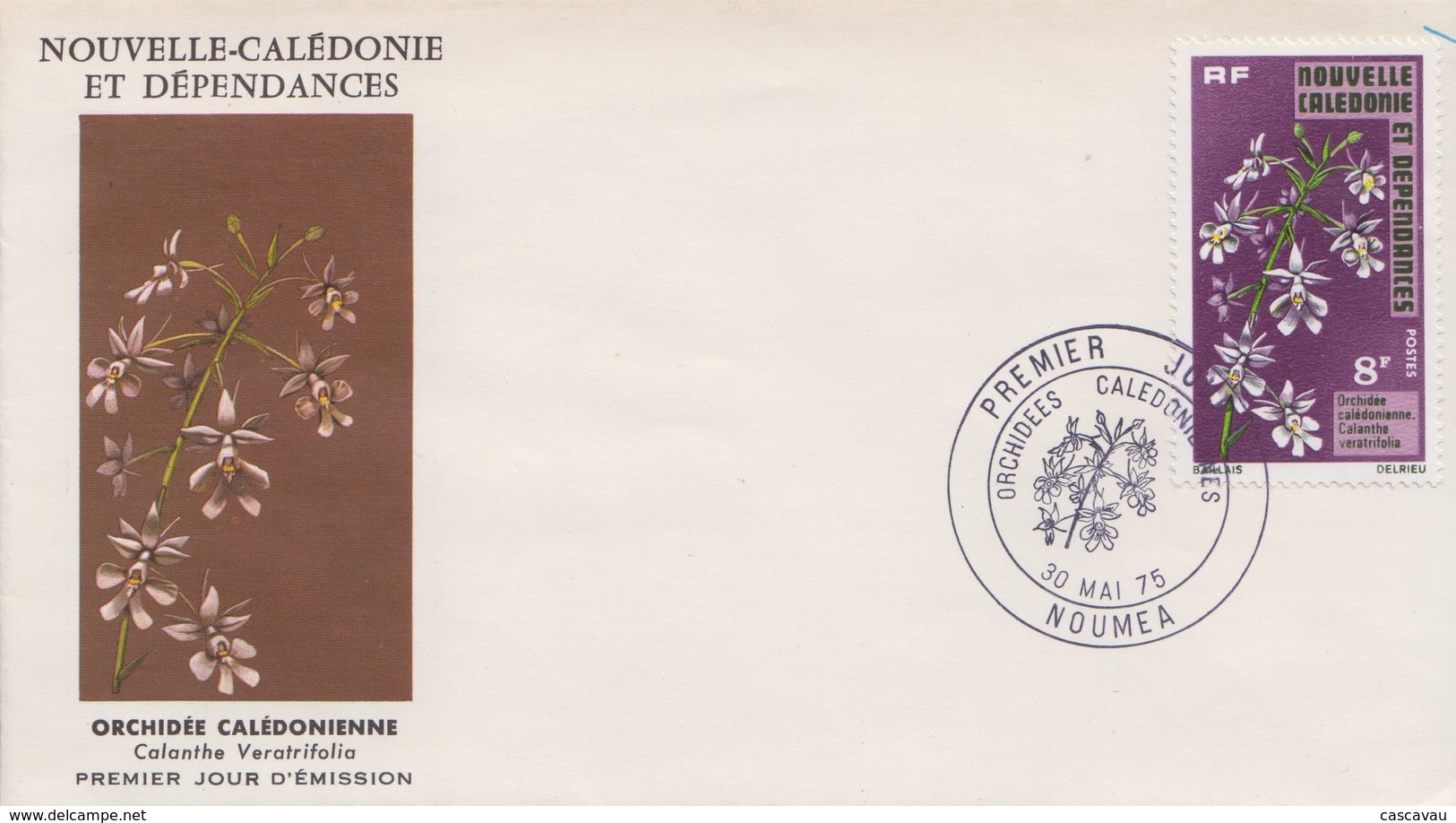 Enveloppe   FDC  1er   Jour   NOUVELLE   CALEDONIE    Orchidée  Calédonienne    1975 - FDC