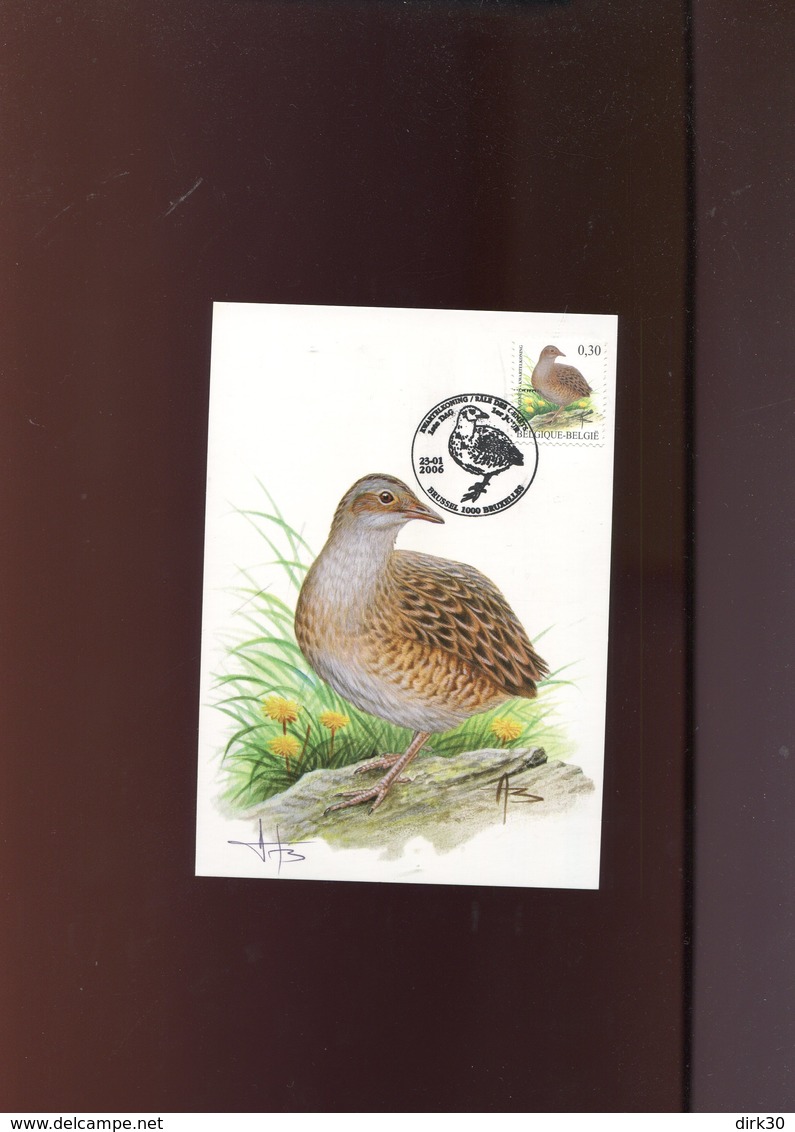Belgie Buzin Vogels Birds 3478 Maximumkaart Brussel + Signature - 2001-2010