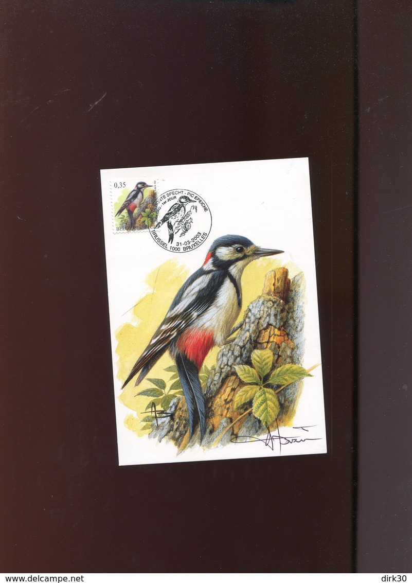 Belgie Buzin Vogels Birds 3162 Maximumkaart Brussel + Signature - 2001-2010