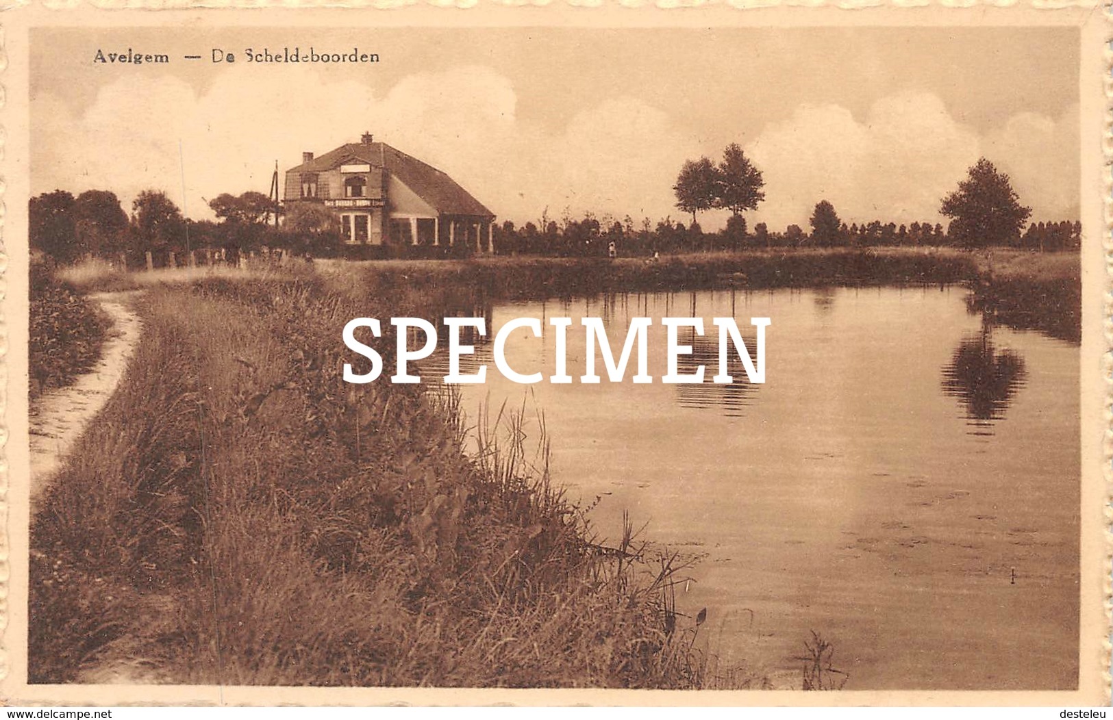 De Scheldeboorden - Avelgem - Avelgem