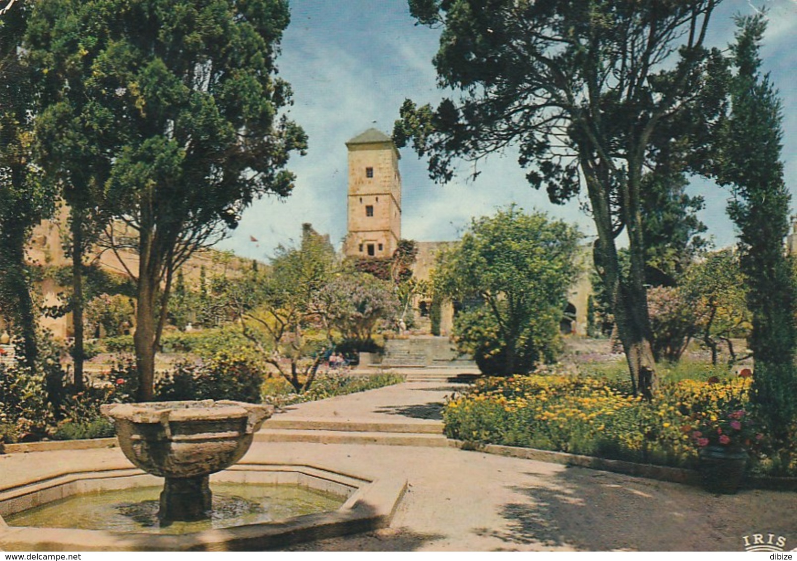 Carte Postale. Maroc. Rabat. Jardin Des Oudayas. Ecrite. Etat Moyen. Taches. - Rabat