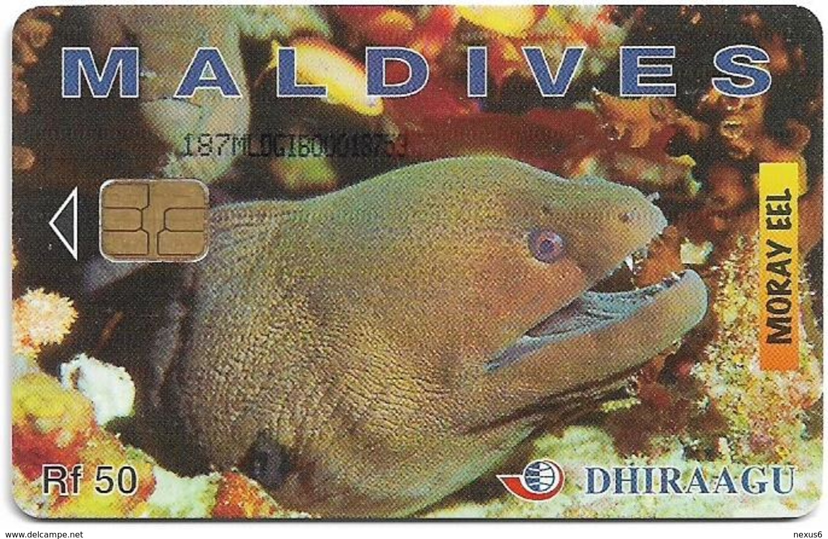 Maldives - Dhiraagu (chip) - Morey Eel - 187MLDGIB - Chip Siemens S30, 50MRf, Used - Maldives