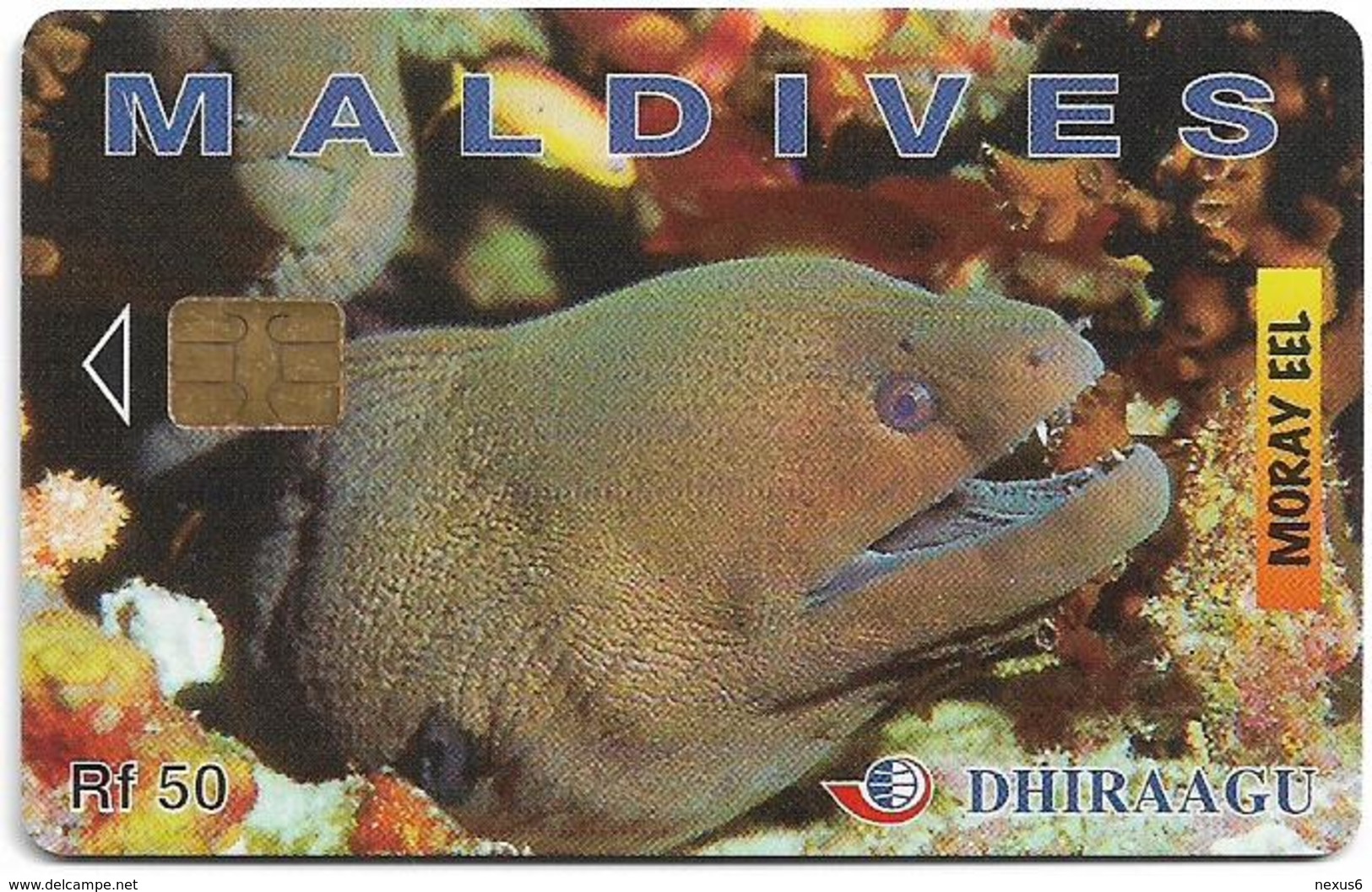 Maldives - Dhiraagu (chip) - Morey Eel - 256MLDGIA - Chip Siemens S35, 50MRf, Used - Maldiven