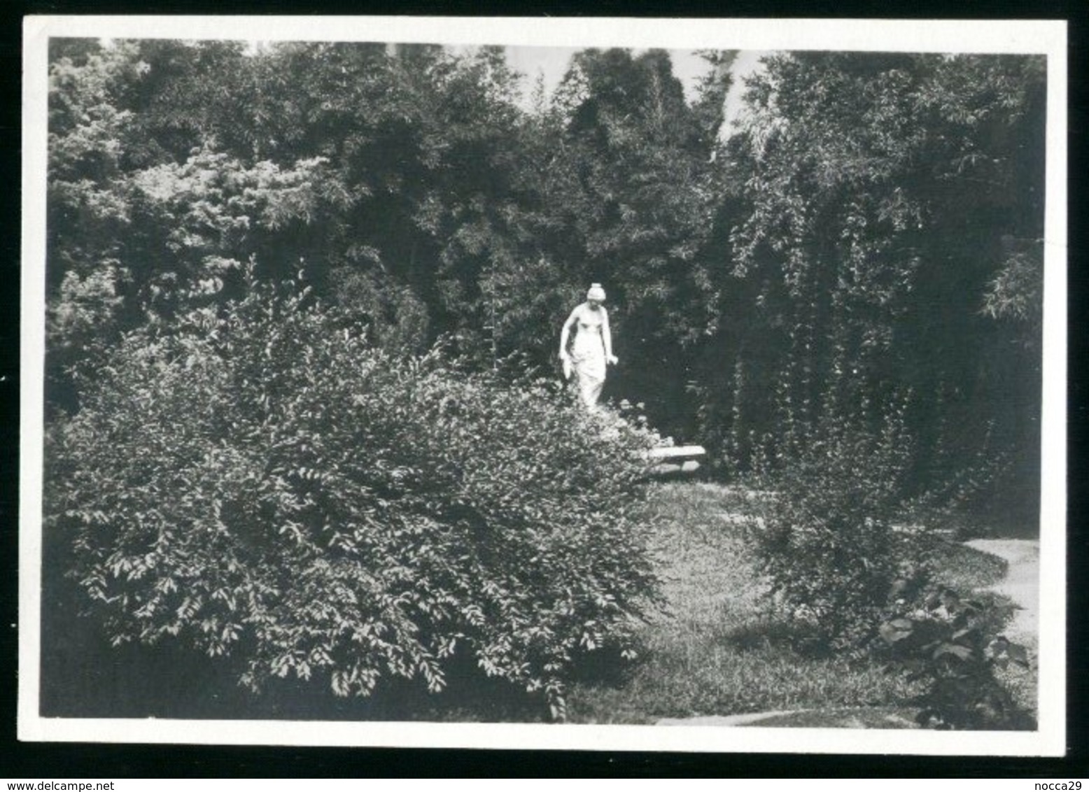 UDINE - INIZI 900 - FOTO ORIGINALE D'EPOCA - GIARDINO DEL PALAZZO MORPURGO - PARTICOLARE - Luoghi