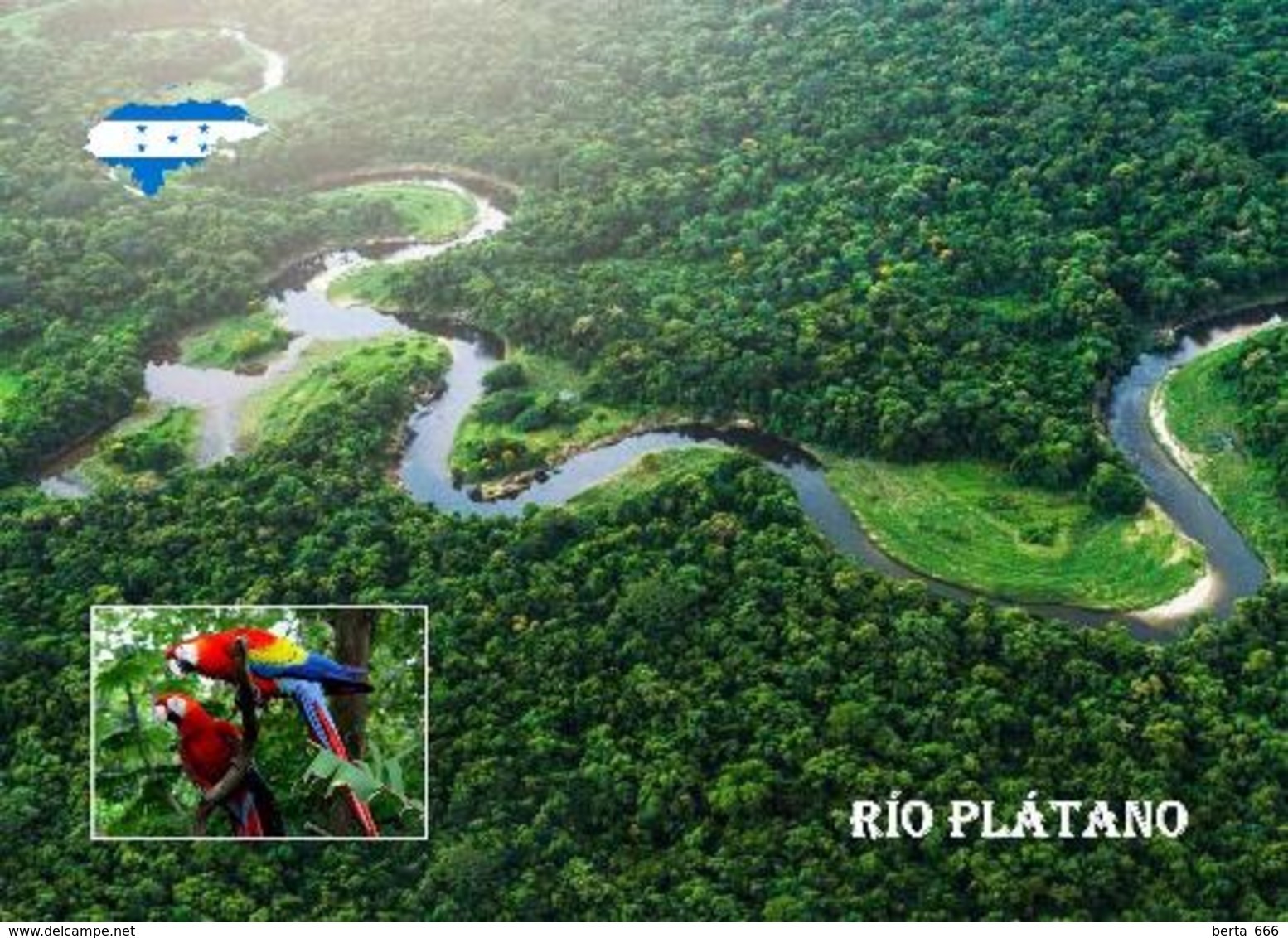 Honduras Platano River UNESCO New Postcard - Honduras