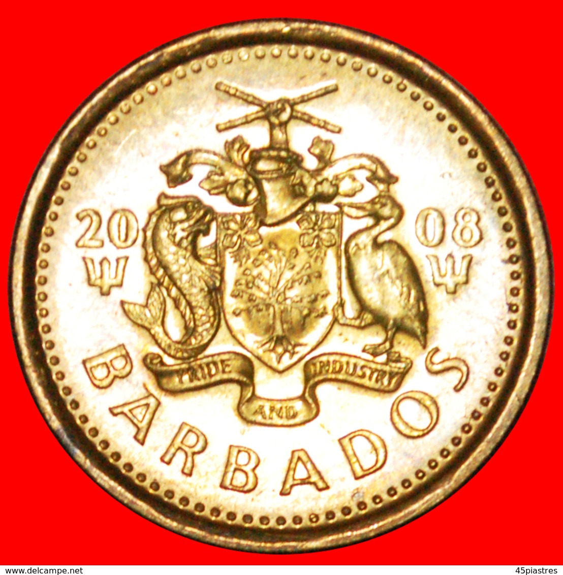 · GREAT BRITAIN (2007-2018): BARBADOS ★ 5 CENTS 2008 MINT LUSTER! LOW START ★ NO RESERVE! - Barbados (Barbuda)