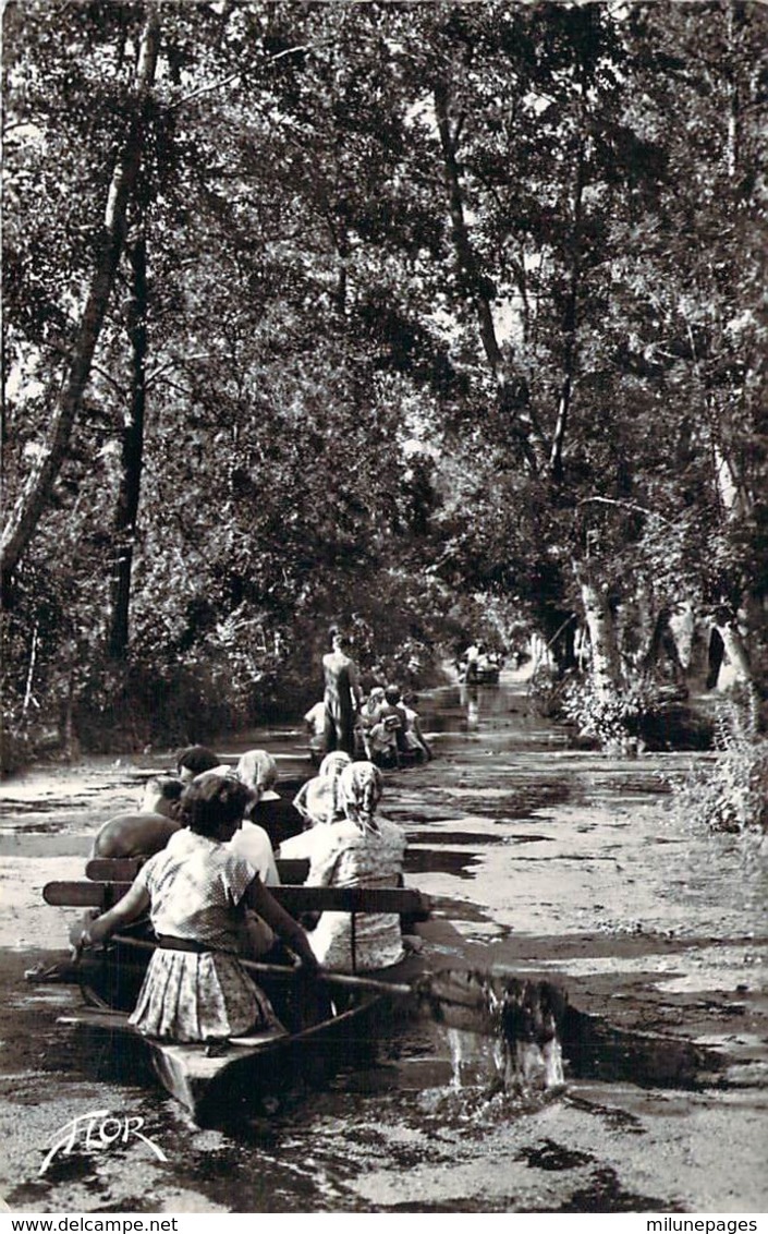 79 DEUX-SEVRES Promenade En Bateau Sur La Grande Rigole En Venise Verte Cpsm - Autres & Non Classés