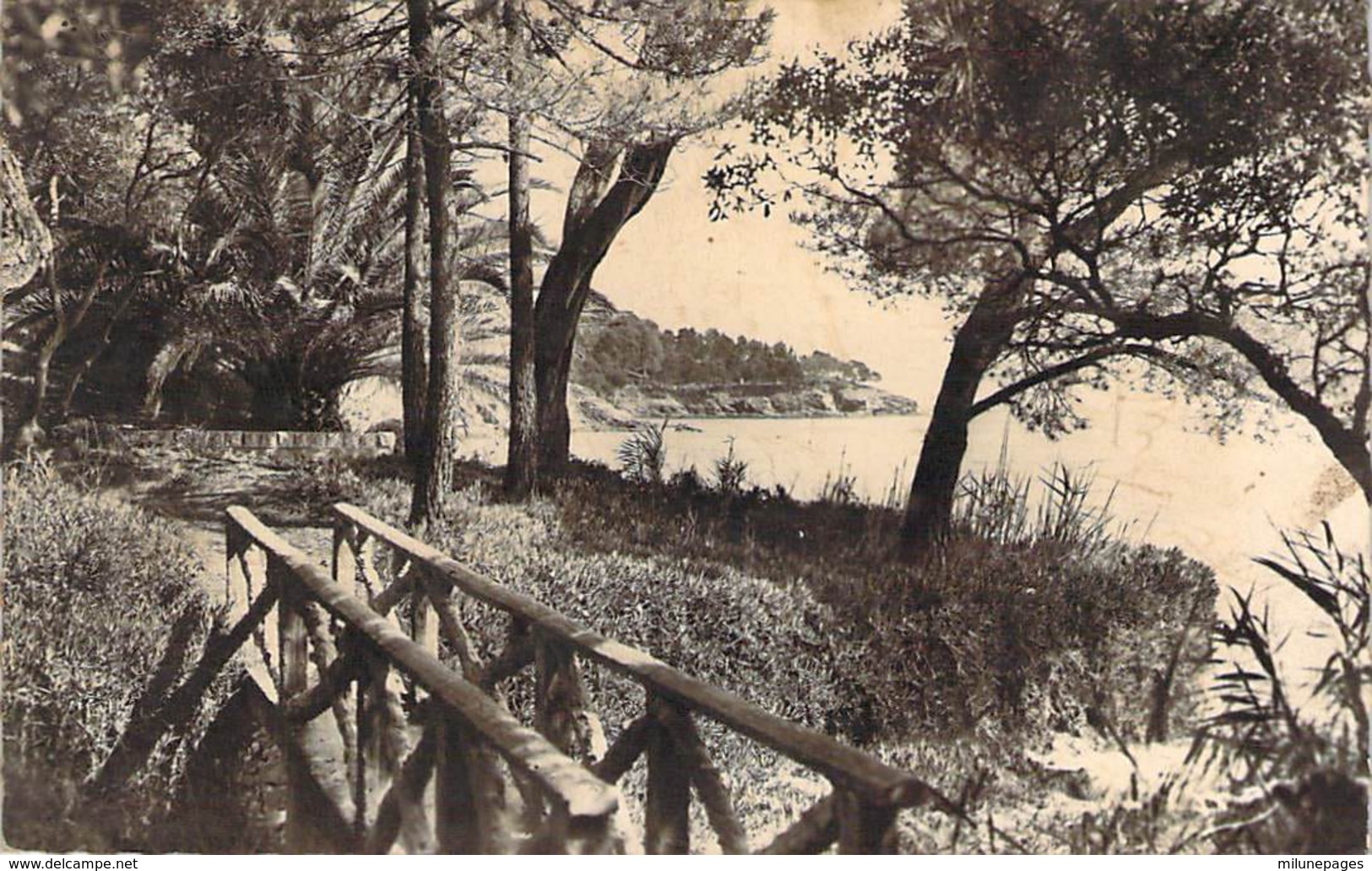 83 VAR Un Petit Pont En Bord De Mer Au RAYOL - Rayol-Canadel-sur-Mer