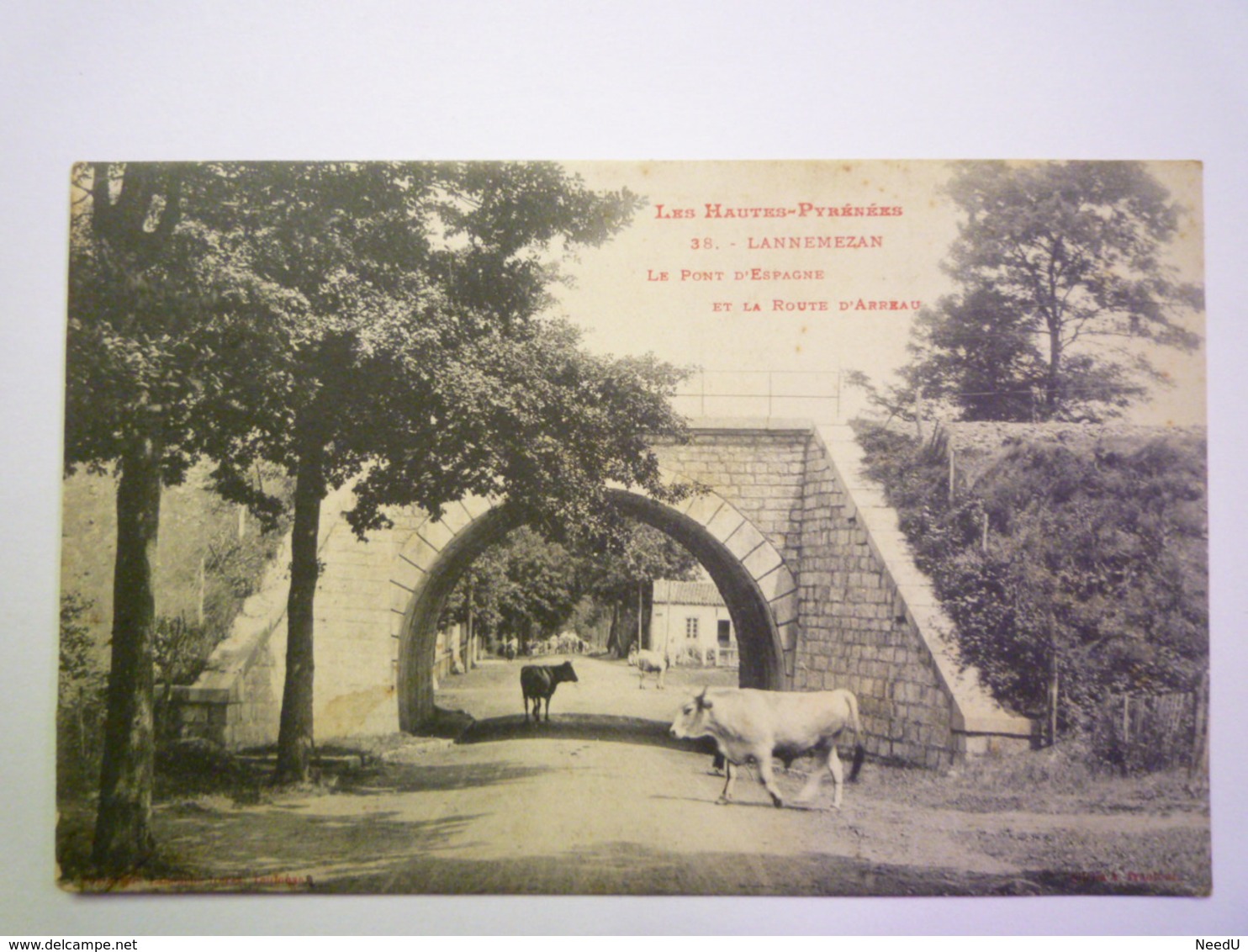 GP 2020 - 2437  LANNEMEZAN  (Hautes-Pyrénées )  :  Le Pont D'Espagne Et La Route D'Arreau   1905   XXX - Lannemezan