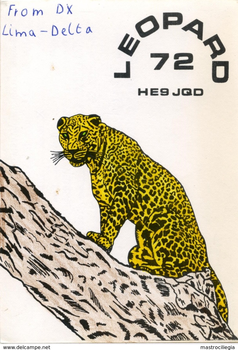 QSL RADIO NEUCHÂTEL LEOPARD 72  HE9JQD  1977 - Radio Amatoriale